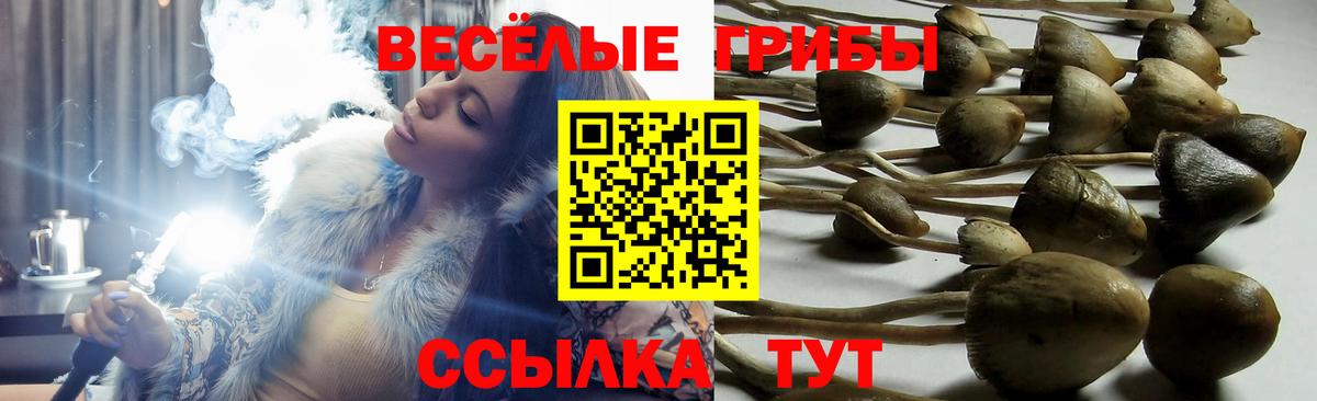 Псилоцибиновые грибы мухоморы  Вход с VPN  Дубна 